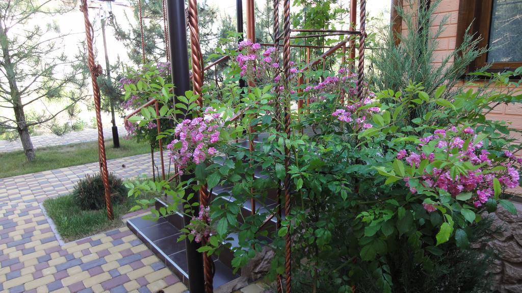 Villa Sosnovy Bor Затока Екстериор снимка