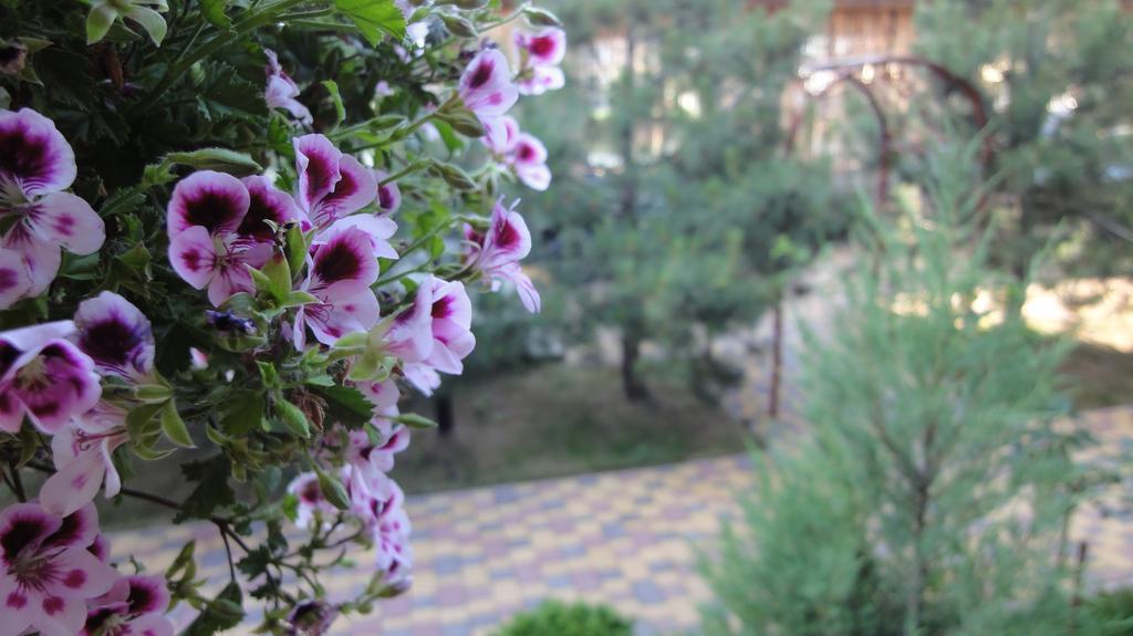 Villa Sosnovy Bor Затока Екстериор снимка