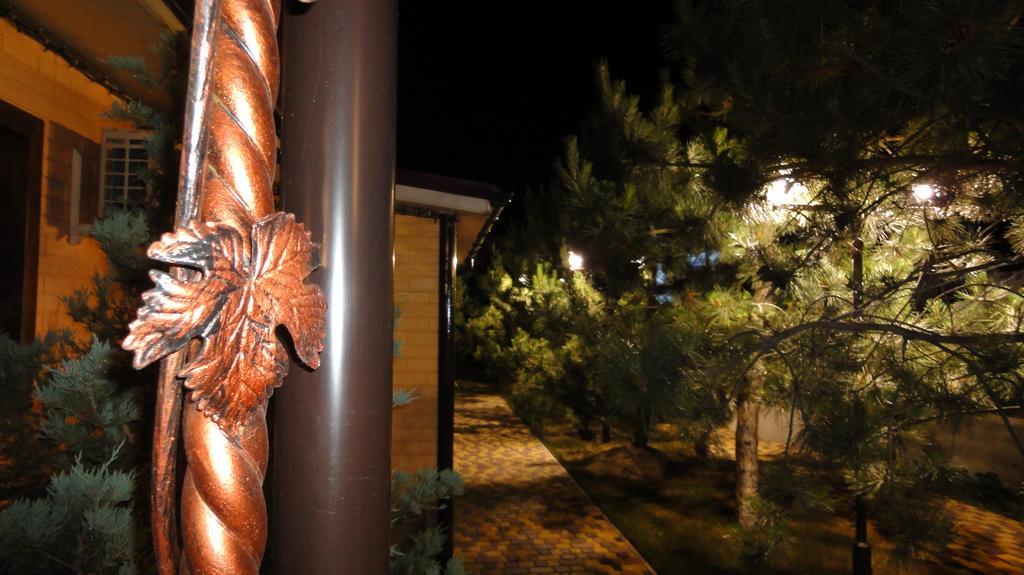 Villa Sosnovy Bor Затока Екстериор снимка